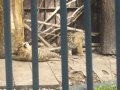 IMGP0845.JPG